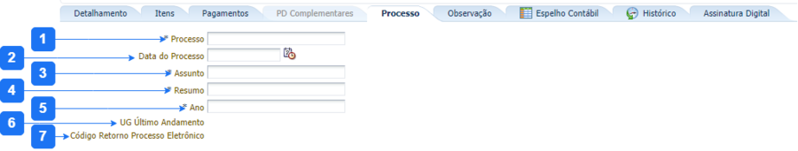 Aba Processo - PDO.png