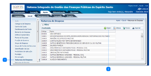 Natureza de despesa 1.png