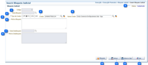 800px-BloqueioJudicial Inserir.png