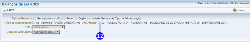 Emitir balanço - tipo de administração.png