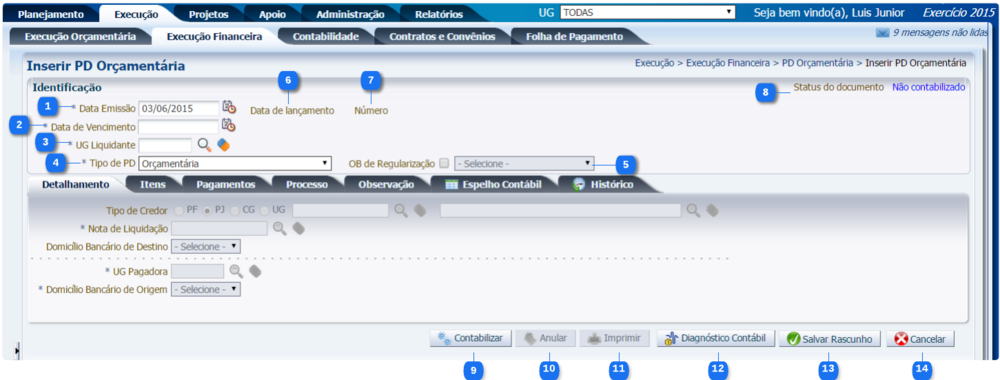 Execução - Execução Financeira - PDOrçamentária (1).png