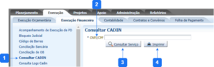 600px-Consultar CADIN.png