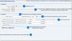 800px-Item de liberação de cota.jpg