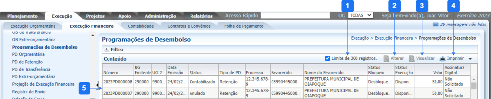 Programação de Desembolso.png