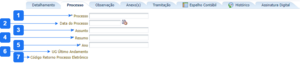 Aba Processo - SNR.png