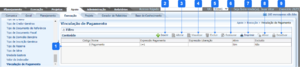 Vinculação de Pagamento.png