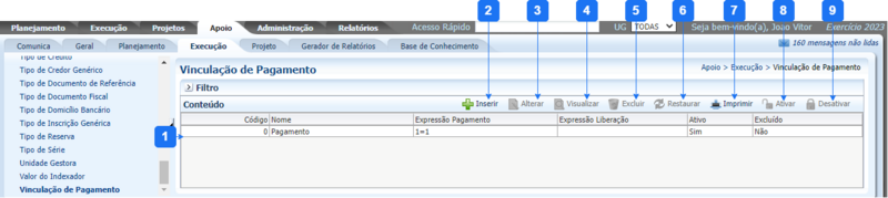Arquivo:Vinculação de Pagamento.png