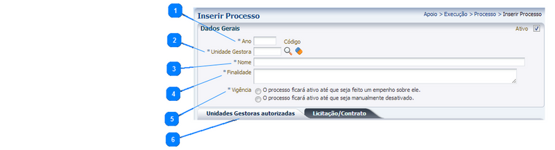 Arquivo:1000px-Inserir processo.png