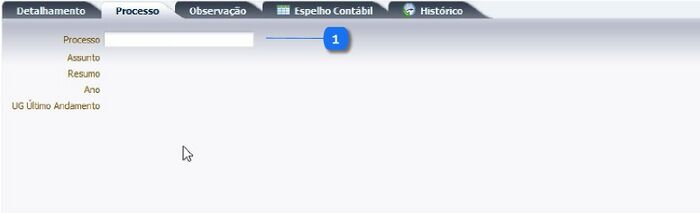 Execução - Execução Orçamentária - NotaReservaEdit - Processo.jpeg