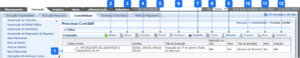 Processo Contabil.png