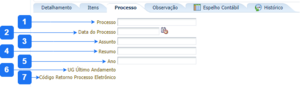 Aba Processo - DD.png