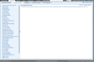 Execução Financeira.png