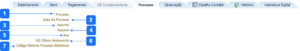 Aba Processo - OBO.png