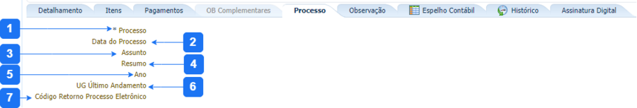 Aba Processo - OBO.png