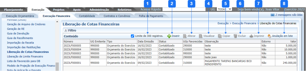 Liberação de Cotas Financeiras.png