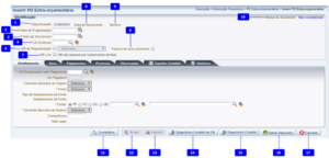 1000px-Inserir PD Extra-Orçamentária.png