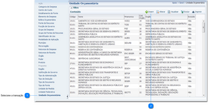 900px-Unidade orçamentária.png