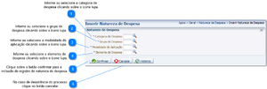 Inserir natureza de despesa.png